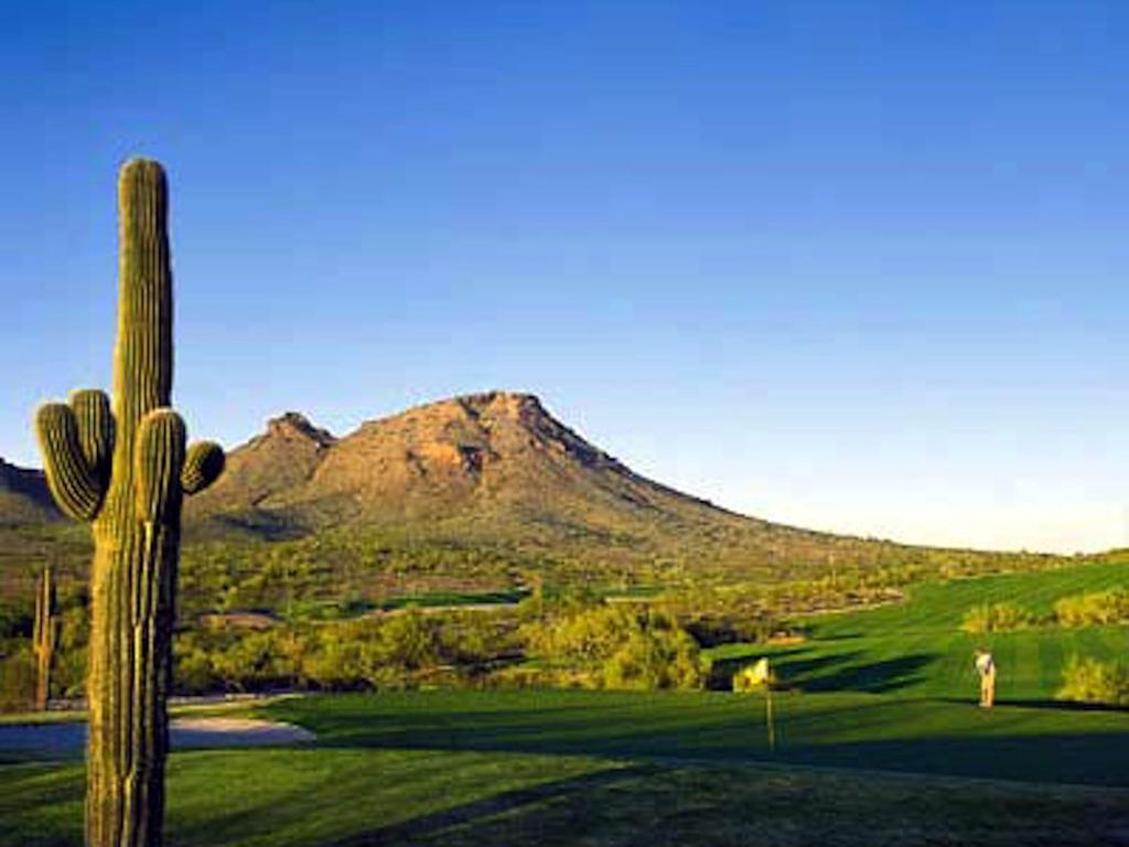 Holiday home Private Community -- ½ Mile Walk To Hiking & Biking At N. Mtn. Preserve!